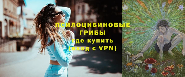 PSILOCYBIN Алексеевка