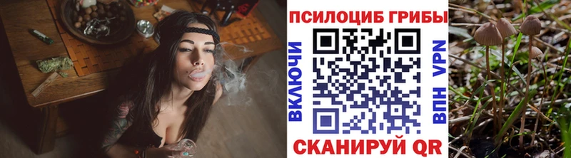 МЕГА маркетплейс  купить  сайты  Фокино  Галлюциногенные грибы Magic Shrooms 